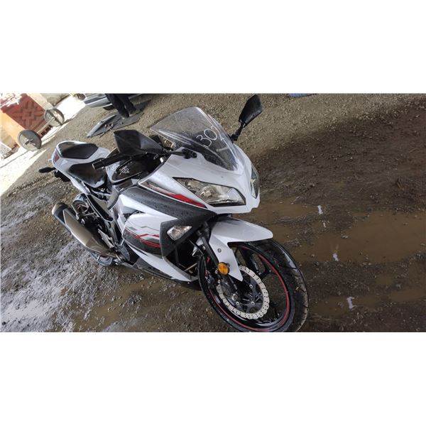 2014 Kawasaki Ninja 300