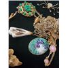Image 3 : Assorted Necklaces & Brooches