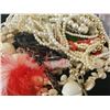 Image 3 : Assorted Costume Necklaces