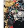 Image 3 : Assorted Costume Jewelry & Hair Pieces