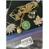 Image 1 : Assorted Necklaces & Brooches