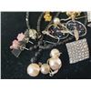 Image 4 : Assorted Earrings & Necklace