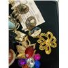 Image 3 : Assorted Brooches & Earring
