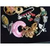 Image 2 : Assorted Brooches