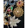 Image 2 : Assorted Brooches