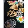 Image 3 : Assorted Brooches