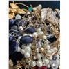 Image 2 : Assorted Jewelry Pieces