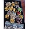 Image 1 : Assorted Brooches