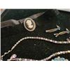 Image 3 : Choker, Necklace, Pin & Earrings