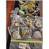 Image 1 : Assorted Costume Jewelry