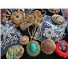 Image 2 : Assorted Necklaces & Brooches