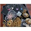 Image 3 : Assorted Necklaces & Brooches