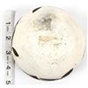 Image 11 : Historic Native American Acoma Pottery Bowl