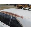 Image 8 : Old Car White (No Paperwork)