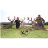 Image 4 : Briarwood Five Star Ohio Whitetail Hunt for Two Hunters