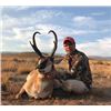 Image 4 : Wyoming Pronghorn Hunt - At Ease Hunting