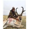 Image 5 : Wyoming Pronghorn Hunt - At Ease Hunting