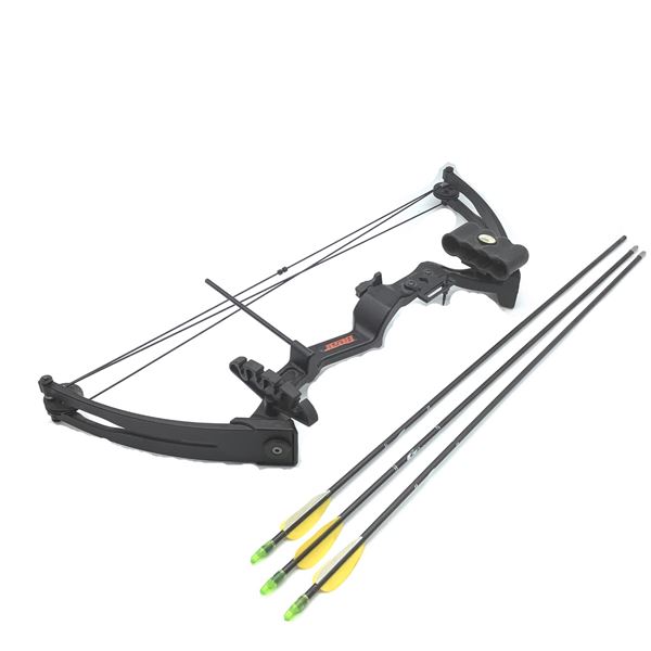 Bear Youth Compound Bow with Arrows