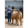 Image 1 : Tanner Vanek - Christina Busy Bees / Beef