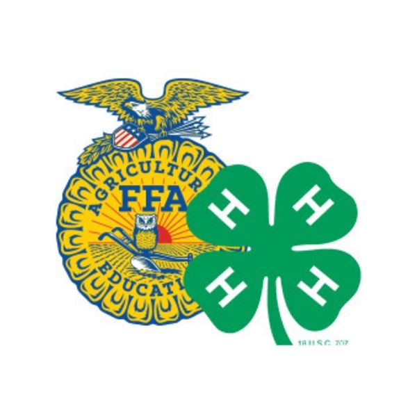 Carlynn Garoutte - FFA Fergus / Heifer