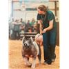 Image 1 : Julia Gillett - Heart of the Judiths / Swine