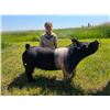 Image 1 : Hannah Eike - Moore Barnstompers / Swine
