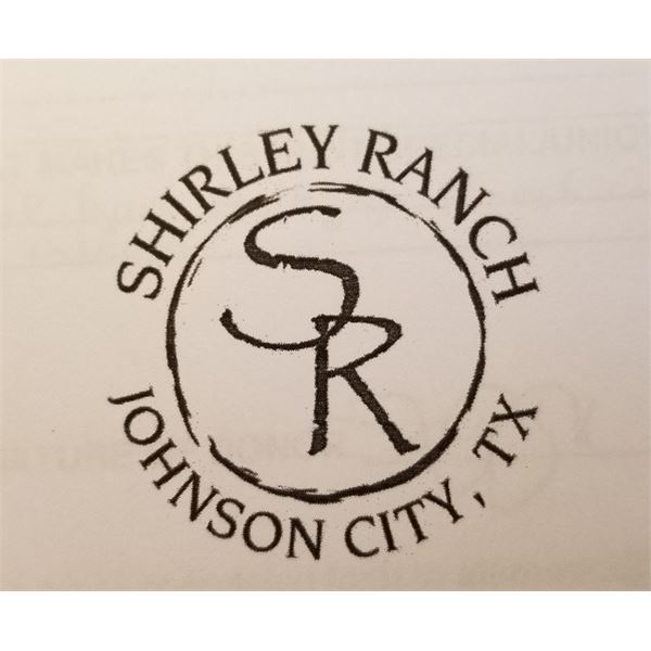 TEXAS-MOUFLON RAM HUNT