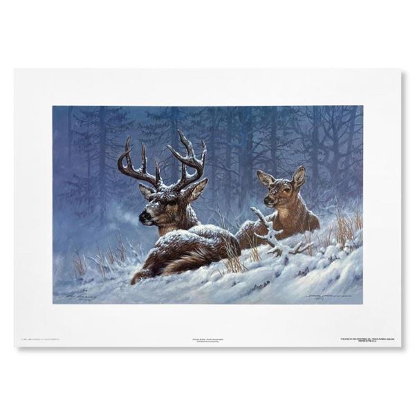 Bedded Down (Whitetail Deer) by Fanning (1938-2014)