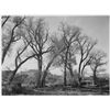 Image 1 : Adams - Taos Pueblo New Mexico 2