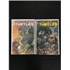 Image 1 : TEENAGE MUTANT NINJA TURTLES #114-115 (IDW)