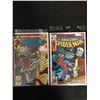 Image 1 : The AMAZING SPIDER-MAN #231/ #181 (MARVEL COMICS)