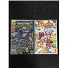 Image 1 : TEENAGE MUTANT NINJA TURTLES #1/ EXCALIBUR COMIC BOOK LOT