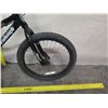 Image 3 : Raleigh Kids Aluminum Black BMX Bike w/ Fat Tires
