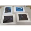 Image 1 : Qty 4 Hawaiian Print Art Work Signed by Artist: Underwater Scene, Big Wave, etc