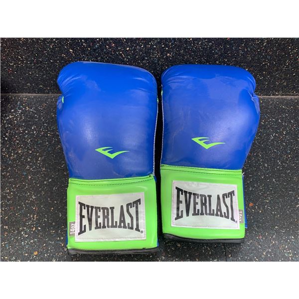 Set of Blue Everlast 14 Oz Boxing Gloves