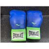 Image 1 : Set of Blue Everlast 14 Oz Boxing Gloves