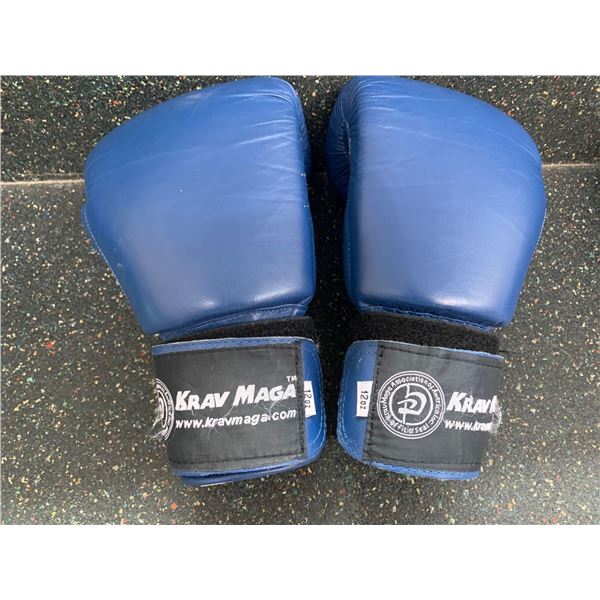 Set of Blue Krav Maga 12 Ox Boxing Gloves
