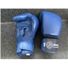 Image 2 : Set of Blue Krav Maga 12 Ox Boxing Gloves