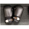 Image 1 : Set of Black Drako 16 Oz Boxing Gloves
