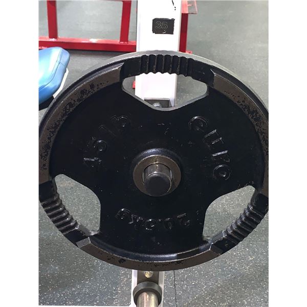 Euro 45Lbs Handled plate weight