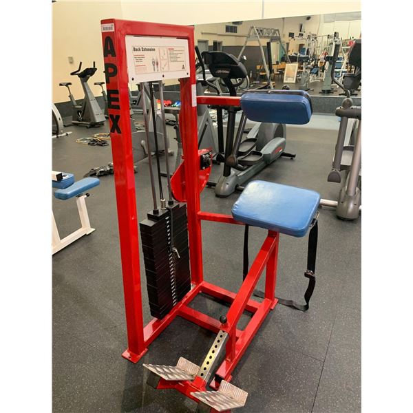 Apex Back Extension Machine-all fitness equipment in this auction has been recently serviced and in 