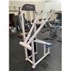 Image 2 : Apex Lat Pulldown Machine - all fitness equipment in this auction has been recently serviced and in 