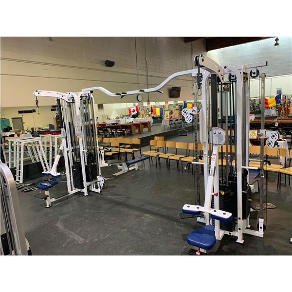 Atlantis double Multi Station - all fitness equipment in this auction has been recently serviced and