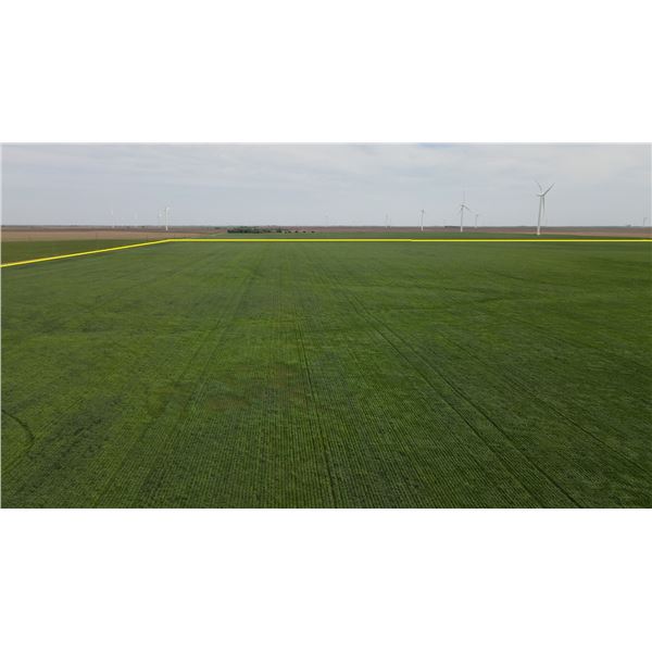 158 +/- Dryland / Pasture Land