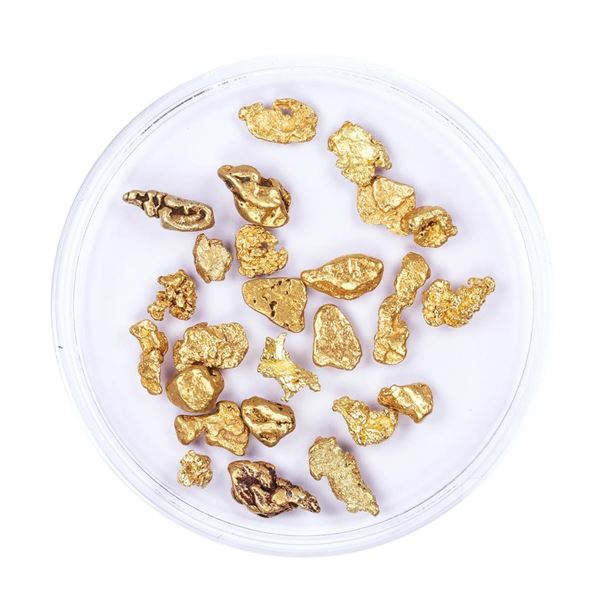 Lot of Gold Nuggets 5.73 Grams Total Weight