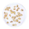 Image 1 : Lot of Gold Nuggets 3.00 Grams Total Weight