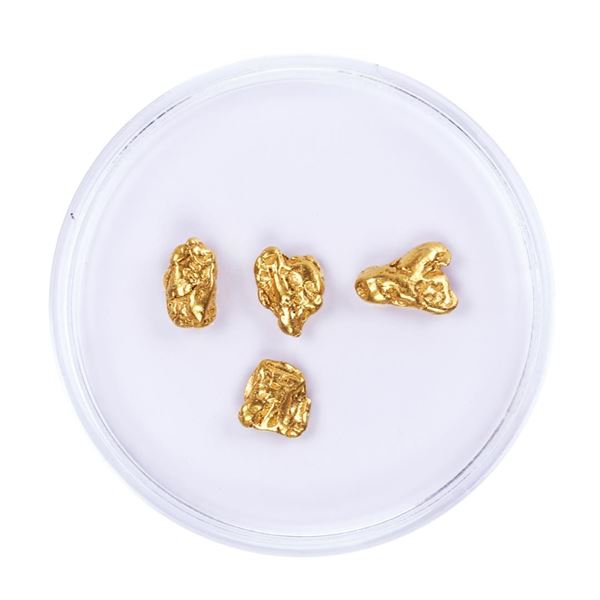 Lot of Gold Nuggets 2.40 grams Total Weight