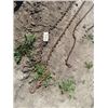 Image 2 : 6 Chains & Hooks Up to 20'