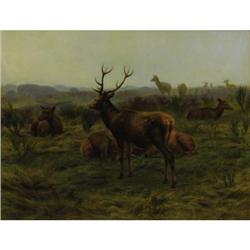 ROSA BONHEUR