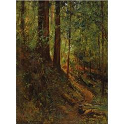 D. HOWARD HITCHCOCK (American), Forest Scene
